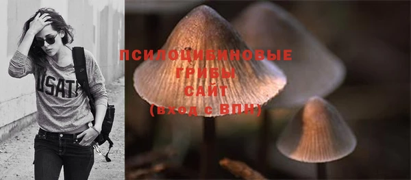 марки lsd Карпинск