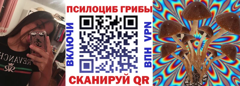 Псилоцибиновые грибы мицелий  Купить где  Донской 